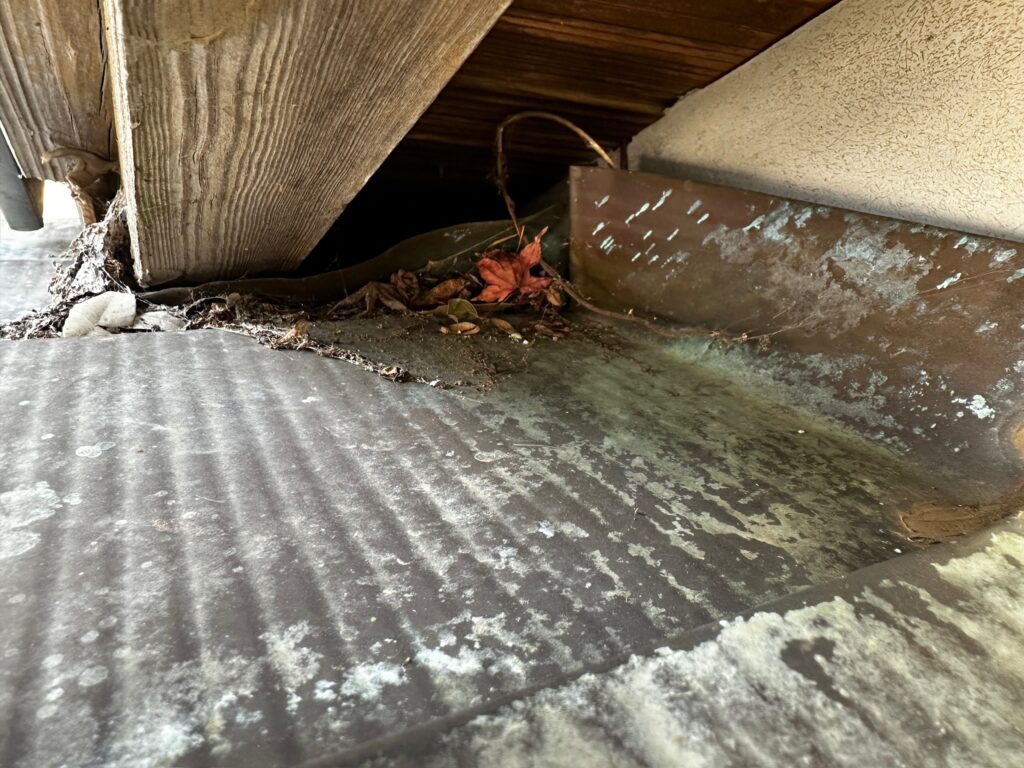土浦市 ハクビシン対策 侵入経路の調査 下屋根と壁のすき間