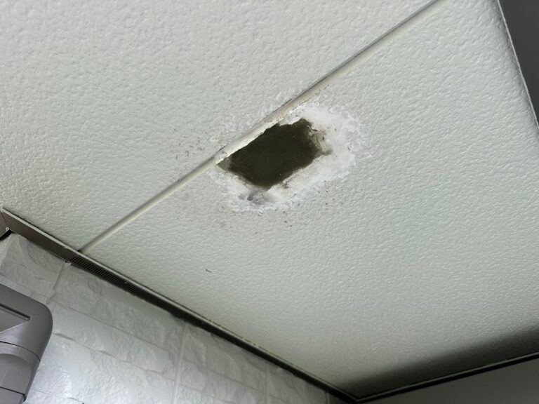 軒天にあいた穴