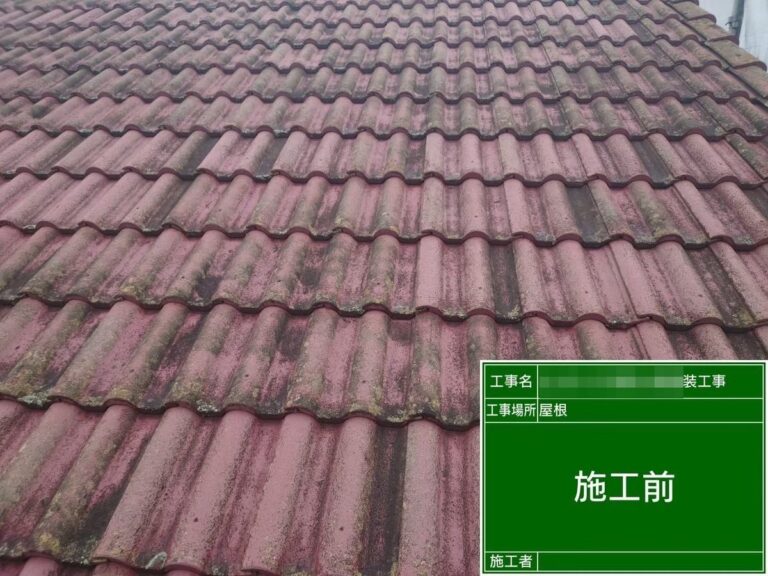 屋根にコケが生えている・色が抜けている(水戸市のアパート。表面の塗膜が切れ、屋根にコケが根付いていた)