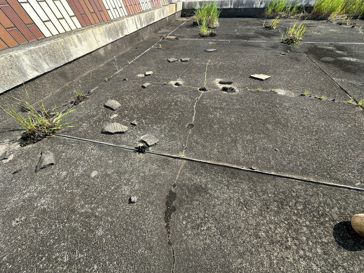 土浦市 屋上防水・鉄扉補修 防水層のひび割れ